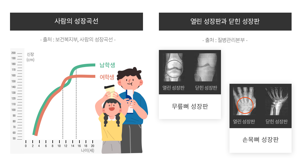 사람의 성장곡선 - 출처 : 보건복지부, 사람의 성장곡선 - / 남학생 여학생 나이별 신장 그래프, 열린 성장판과 닫힌 성장판 - 출처 : 질병관리본부 - / 무릎뼈 성장판 - 열린 성장판, 닫힌 성장판, 손목뼈 성장판 - 열린 성장판, 닫힌 성장판