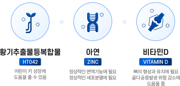 황기추출물등복합물 아연 비타민D
