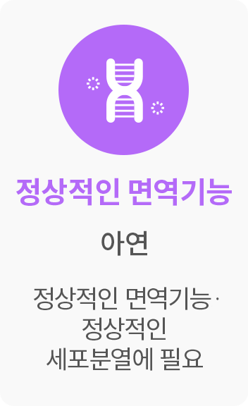 정상적인 면역기능 아연 정상적인 면역기능, 정상적인 세포분열에 필요